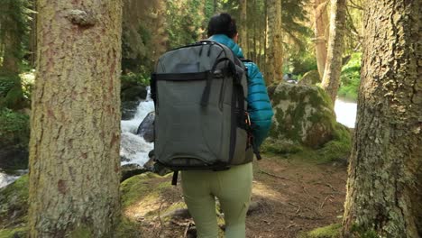 Hiking-woman-walk-with-a-hiking-backpack-in-spring-green-forest