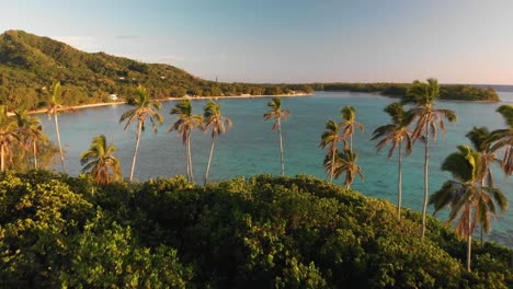 muri lagoon flying over palm trees, rarotonga, cook islands