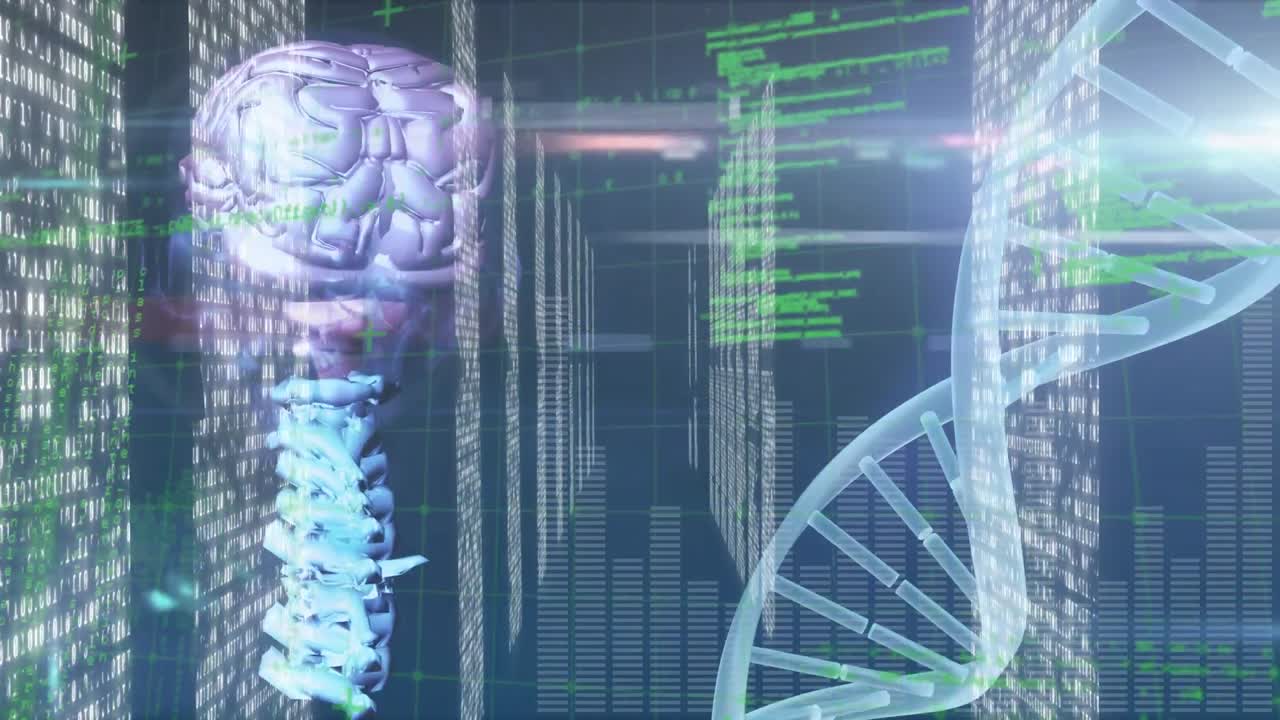 animación del cerebro humano, hilado de cadenas de adn y procesamiento de datos médicos
