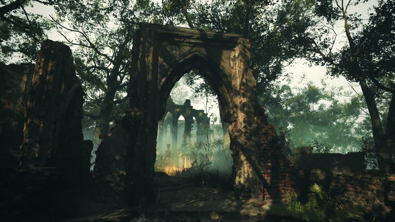 안개 숲 속 의 신비 한 폐허