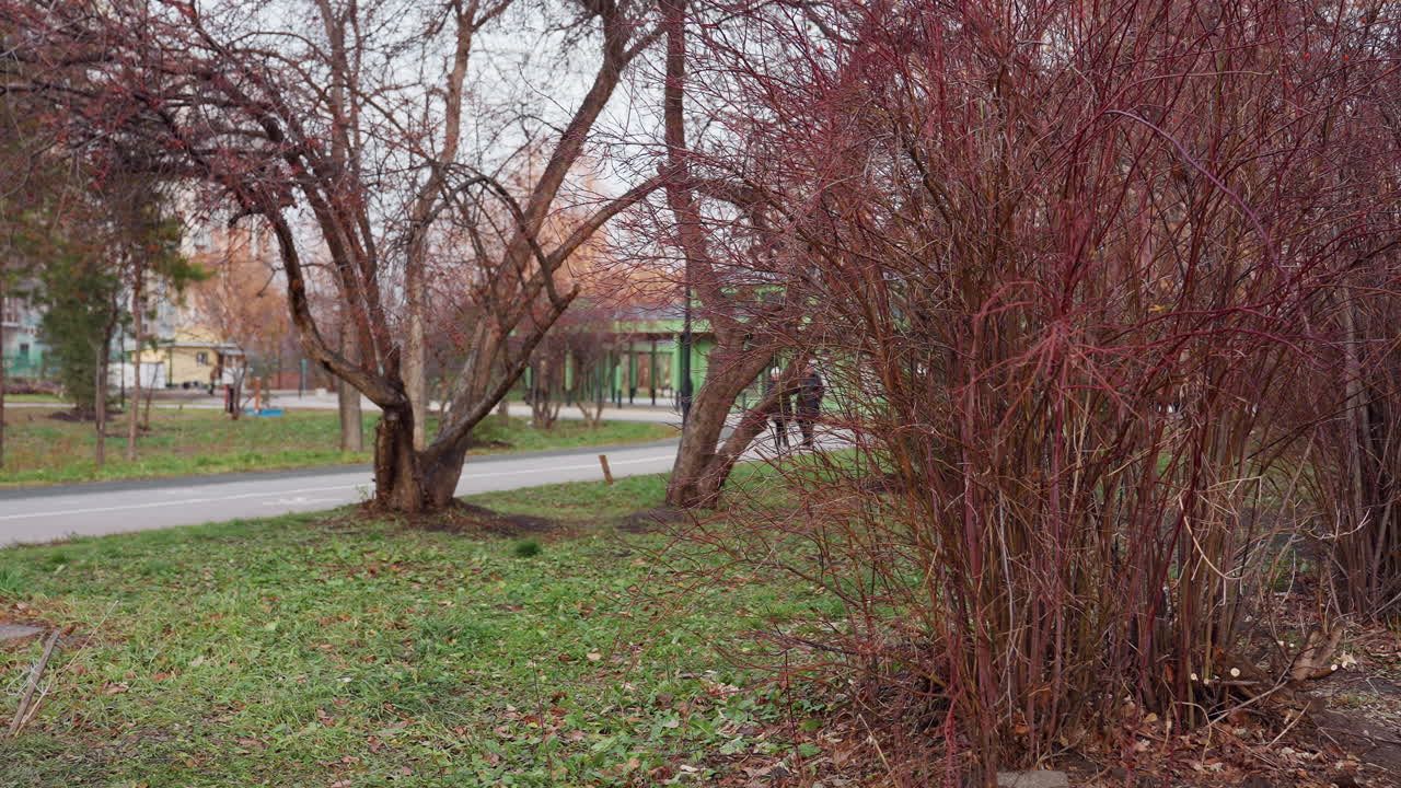 Autumn trees line green park lawn with bare red branches as people move along paved paths, creating a calm seasonal atmosphere surrounded by natural textures and soft overcast lighting