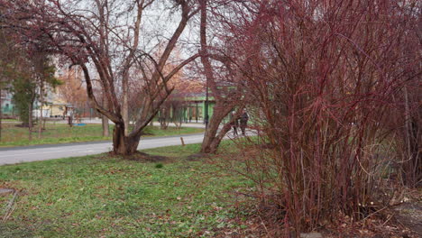 autumn trees line green park lawn with bare red branches as people move along paved paths, creating a calm seasonal atmosphere surrounded by natural textures and soft overcast lighting