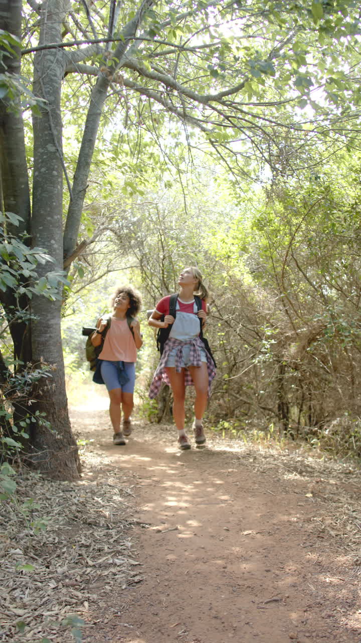 Vertical video: Hiking on forest trail, two women with backpacks enjoying nature walk