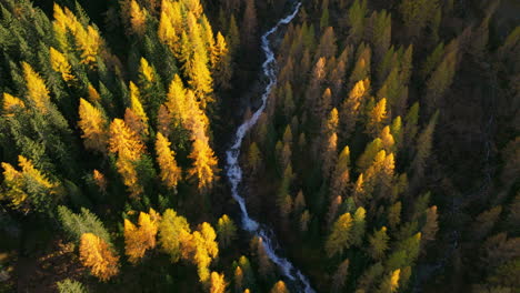 Cascada-A-Través-De-Ahrntal-Casere-Vista-Aérea-Del-Valle-Del-Bosque-De-Otoño-Prístino,-Tirol-Del-Sur