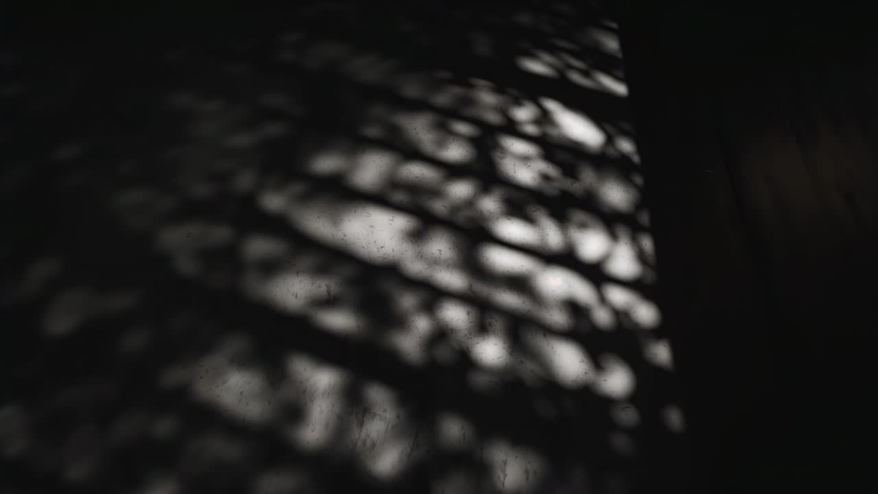 Luz solar cambiante que proyecta una sombra reticular sobre una pared texturizada en una habitación, mostrando motas junto a un panel oscuro