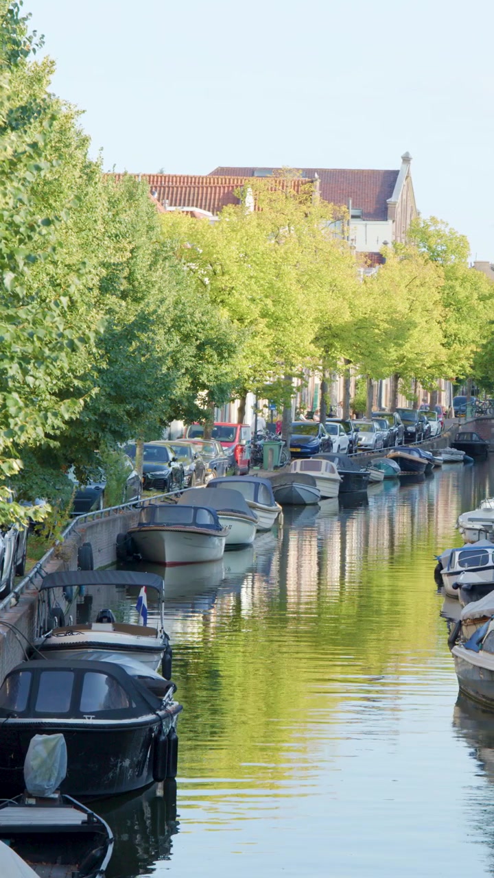 La telecamera panoramica lentamente lungo il canale di Haarlem illuminato dal sole, mostrando barche, auto, alberi ed edifici olandesi.