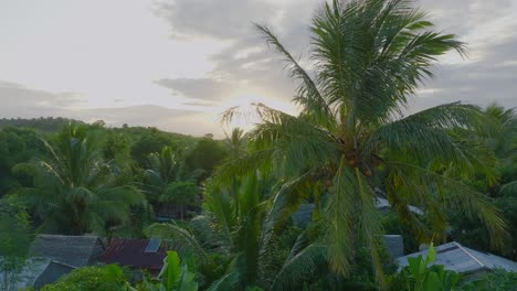 Palmera-De-Coco-Durante-La-Puesta-De-Sol-En-Un-Pueblo-Tradicional-Con-Casas-De-Madera-En-Madagascar---Clip-De-Drones