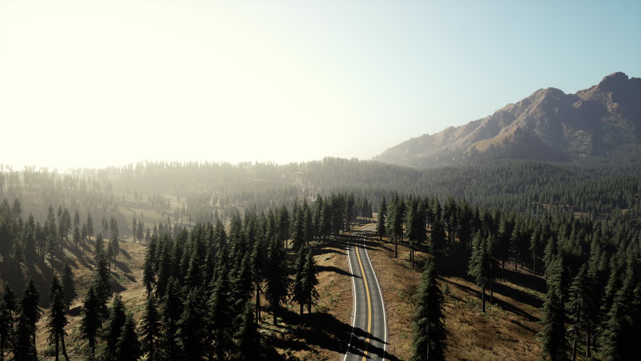 vista aérea natural de la carretera y el bosque en el otoño