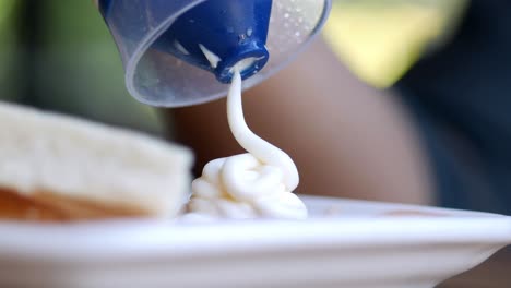 close up of a plate with a dollop of mayonnaise on it