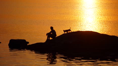 man with cats on the background of golden path of setting sun over water. silhouette of a guy sitting on the big stone surrounded by water in the evening.