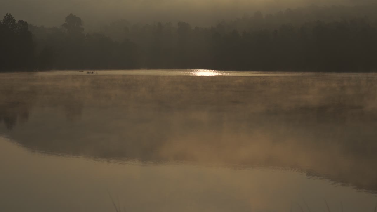 niebla sobre el lago al sol de la mañana