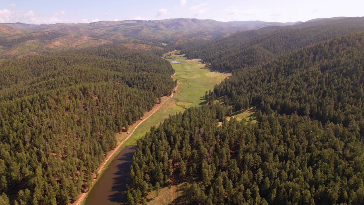 Pecos Wilderness Santa Fe National Forest spruce evergreen tree aerial drone United States woodland