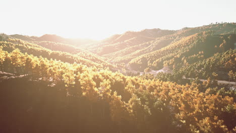 View-on-autumn-forest-in-mountains-and-blue-sky-of-Switzerland