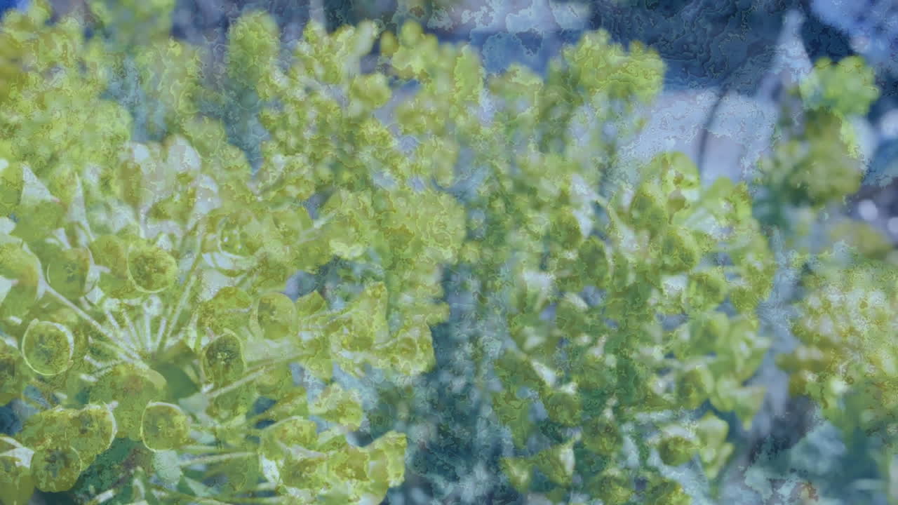Creating abstract nature scene, green plants with textured blue animation overlay