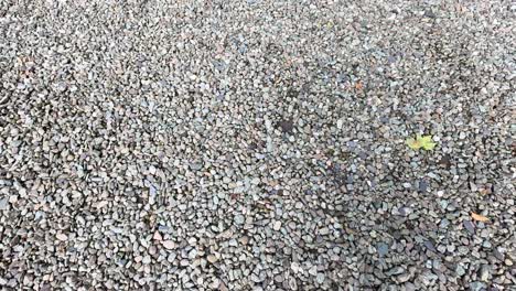 colorful stones arranged on distillery floor