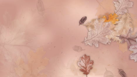 watercolor abstract background autumn with seasonal leaves, oak leaves, and acorns. hand-painted watercolor natural art. loop animation. copy space.