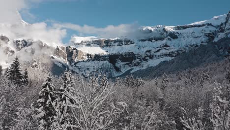 una vista aérea del cirque du fer à cheval mientras está cubierto de nieve durante un frío invierno, volando cerca del lecho del bosque de pinos del valle de sixt, para tomar altura y revelar las montañas épicas