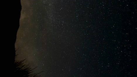 The-Milky-Way-rises-above-the-horizon-in-the-desert's-night-sky---time-lapse-in-vertical-orientation