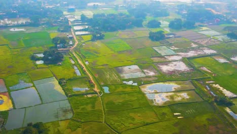 dramatic aerial views of rural rice fields near dhaka bangladesh, sweeping panoramic