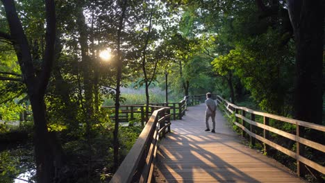 A-man-walks-very-calmly-through-the-shakujii-park-in-Tokyo,-in-a-summer-evening,-ideal-for-taking-the-cool-of-the-afternoon-and-breathing-fresh-air