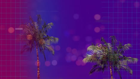 Palm-trees-surrounded-by-an-animation-of-scrabbled-and-bokeh-effect