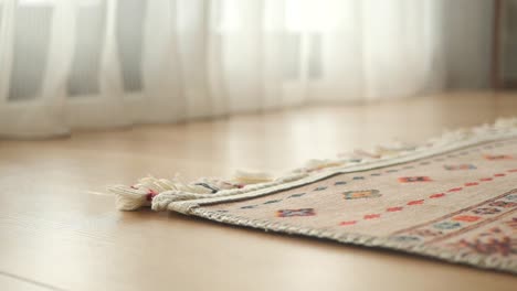 cozy room with carpets and curtains