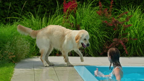 girl and dog at the swimming pool