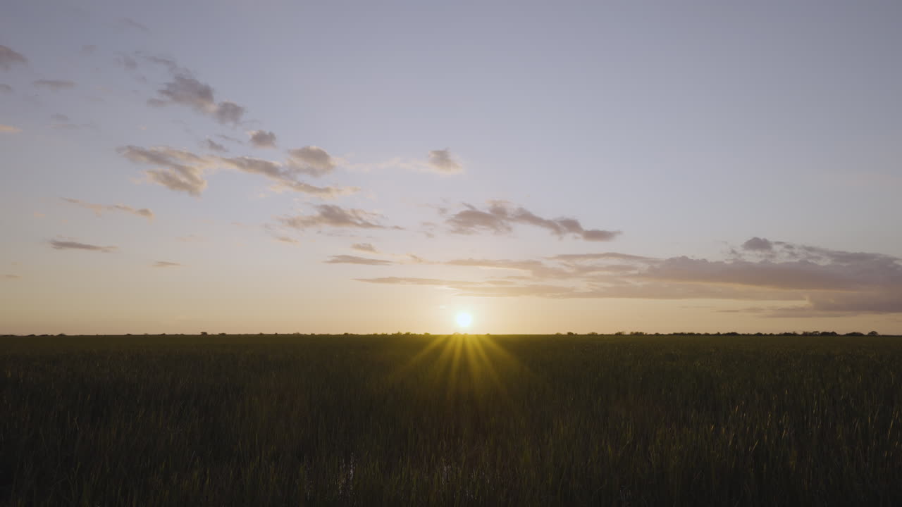 Golden Sunset over a Vast Green Field
