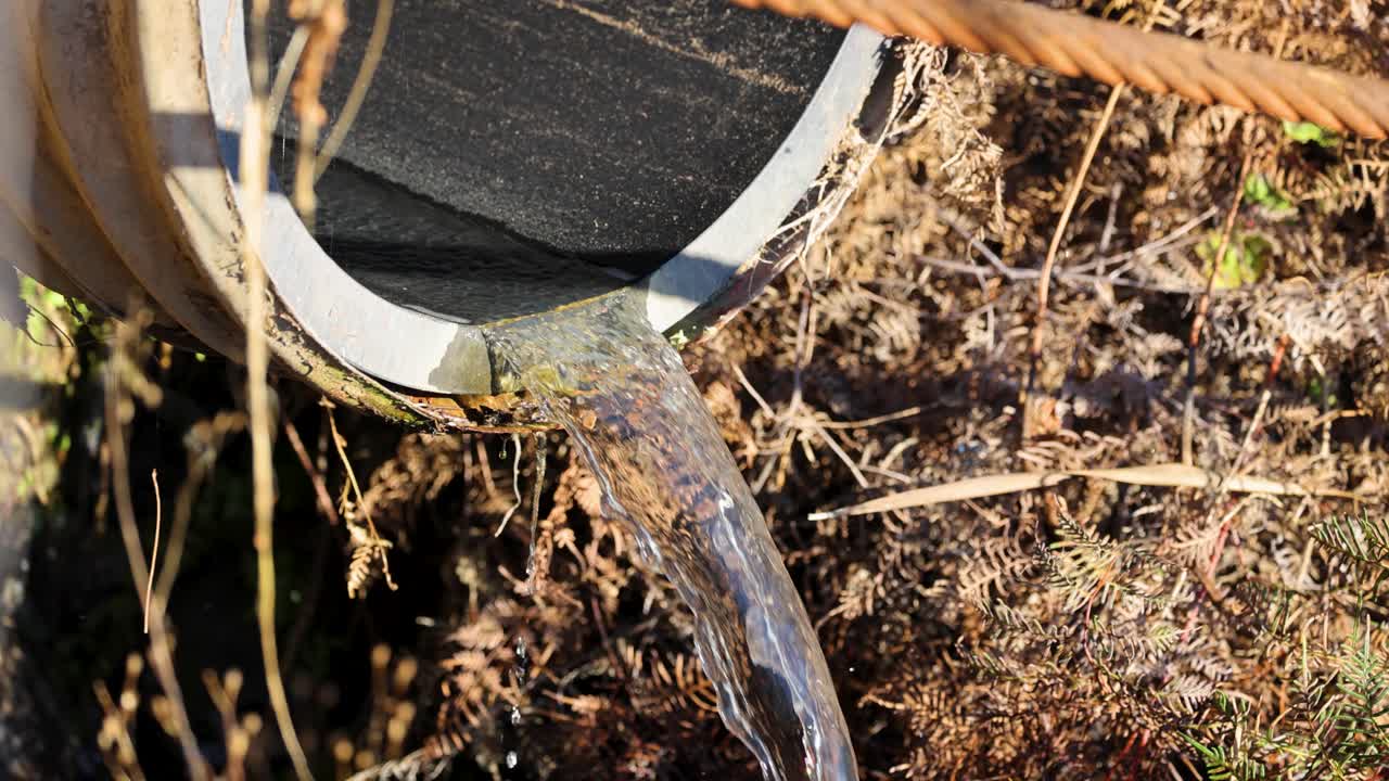 A steady stream of glacial meltwater flows through a pipe into a natural environment, captured in bright daylight
