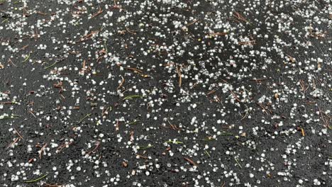 Hagel-Fällt-Auf-Den-Boden