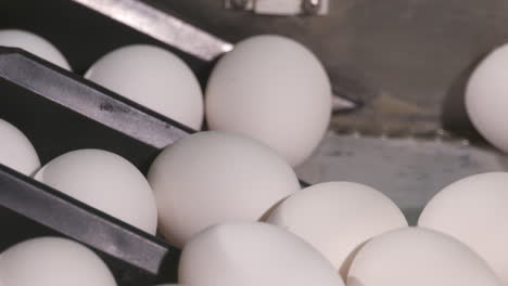 eggs are sorted on a production line at a poultry farm