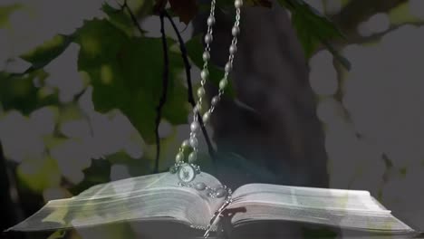 Animation-of-cross-and-rosary-falling-over-bible-with-tree-in-background