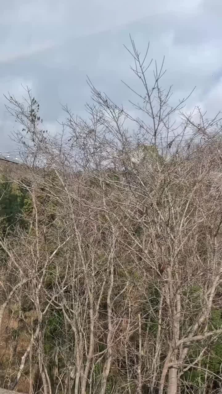 움직이는 열차 창문에서 지나가는 풍경.