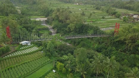 aerial-drone-view-of-suspension-bridge,-the-valley-and-river-with-waterfall