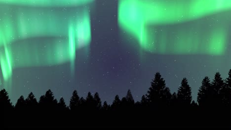 Animation-of-aurora-borealis-glowing-over-fir-trees-covered-in-snow-in-winter