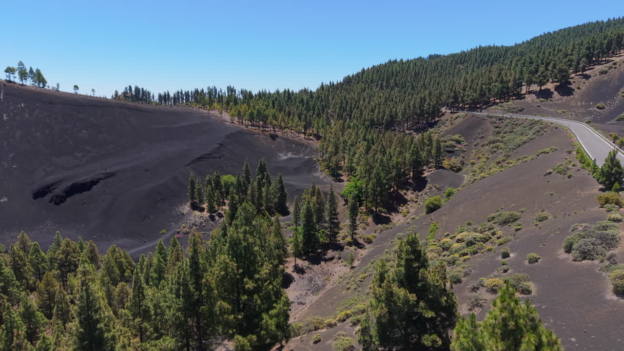 Canary pine trees and volcanic black slopes near a mountain road in Gran Canaria (Montañon Negro), Canary Islands, Spain