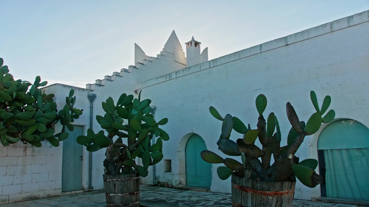 Belo pátio ensolarado de uma quinta tradicional caiada na Puglia, sul da Itália, com cactos de figo-da-índia em barris de madeira