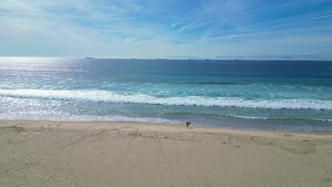 lone surfer walks toward waves on a sunny beach in sines, alentejo, portugal