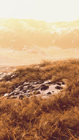grassy field with mountain in the background