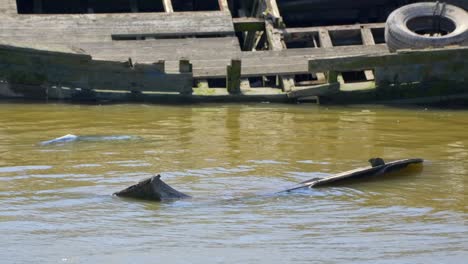 Shipwreck-and-dirty-river-water-rippling-in-sunlight