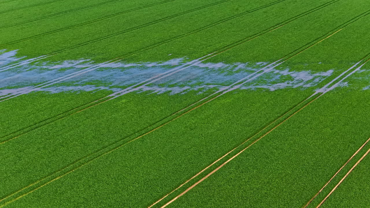 Aerial view of blue water puddle over bright green field in Latvian countryside