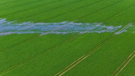aerial view of blue water puddle over bright green field in latvian countryside
