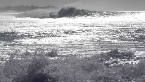 blue waves roll into the coast of hawaii 1