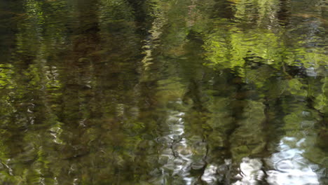 reflejo de la laguna