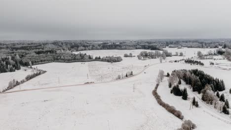 aerial hyperlapse of frozen trees in the winter. aerial drone shot of countryside landscape on a cold and cloudy winter day. hoar frost weather.
