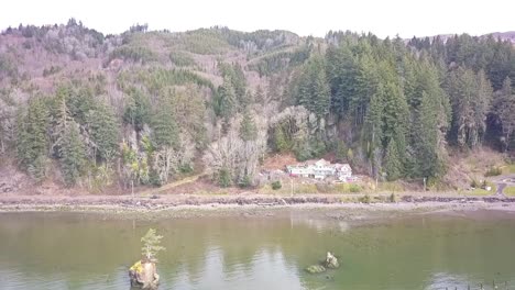 Flying-over-tree-on-rock-in-bay-with-drone-1080p