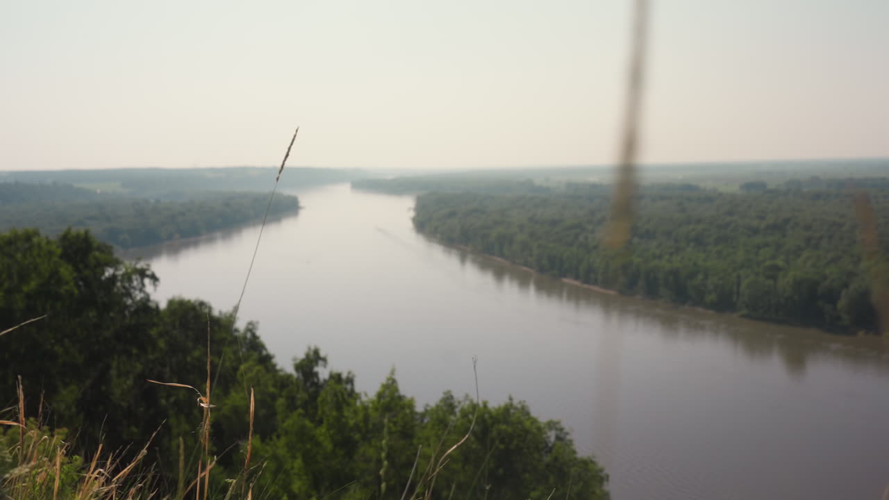 Wild grass in soft focus sways in foreground as wide river curves through lush green countryside under pale morning haze, blending tranquility of nature with depth of perspective and rural beauty