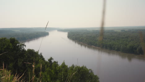 wild grass in soft focus sways in foreground as wide river curves through lush green countryside under pale morning haze, blending tranquility of nature with depth of perspective and rural beauty