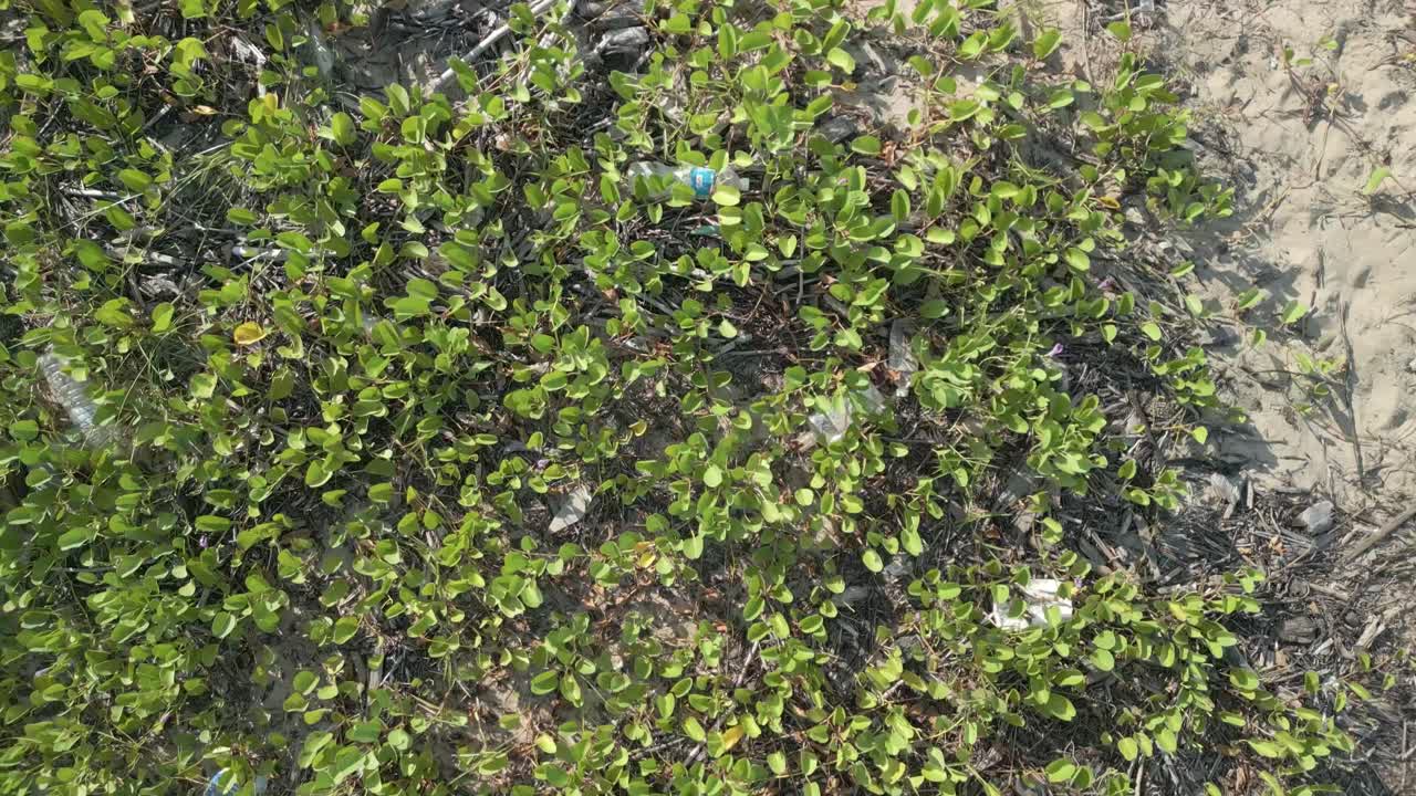 Aerial Drone View During Summer Alit Fishing Village,Kabong With, Facing Open Blue Sea, White Sandy Beach,Green Coconut, Palm Trees,And River,Sarawak,Borneo