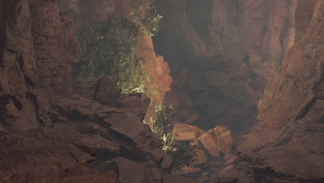 dark and mysterious cave with green plants growing in the shadows